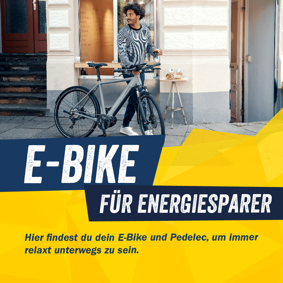 Angebot E-Bike Auswahl im BIKE Market